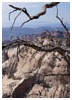 West Rim Trail, Zion