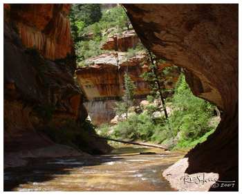 The Subway, Left Fork, Zion